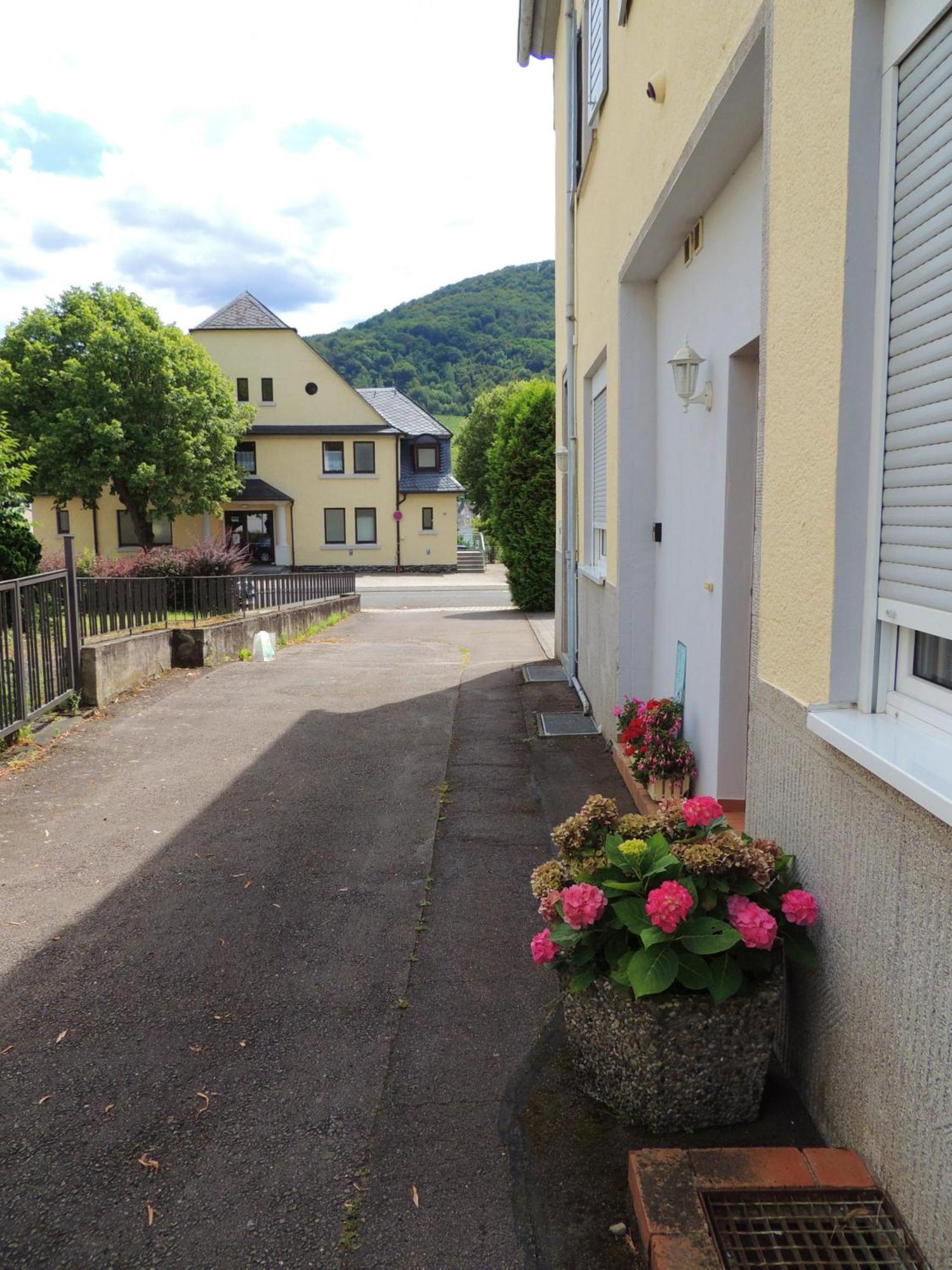 Ferienwohnung Afrika Verbandsgemeinde Verbandsgemeinde Bernkastel-Kues Buitenkant foto